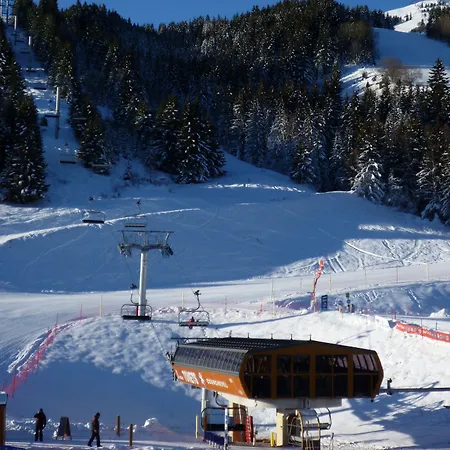 Hotel Les Flocons 3*